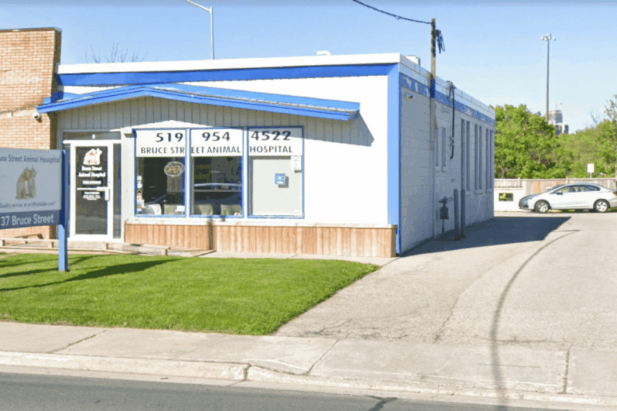 affordable spay and neuter in kitchener