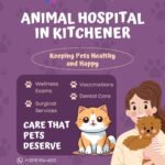 Veterinary Hospital in Kitchener