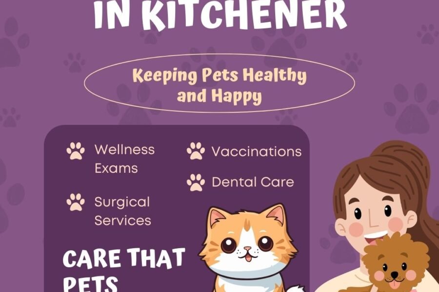 Veterinary Hospital in Kitchener