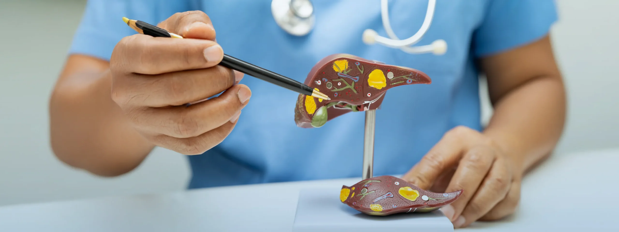 Gall Bladder