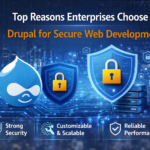 Drupal Development Services