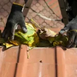 Gutter cleaning in Altona North