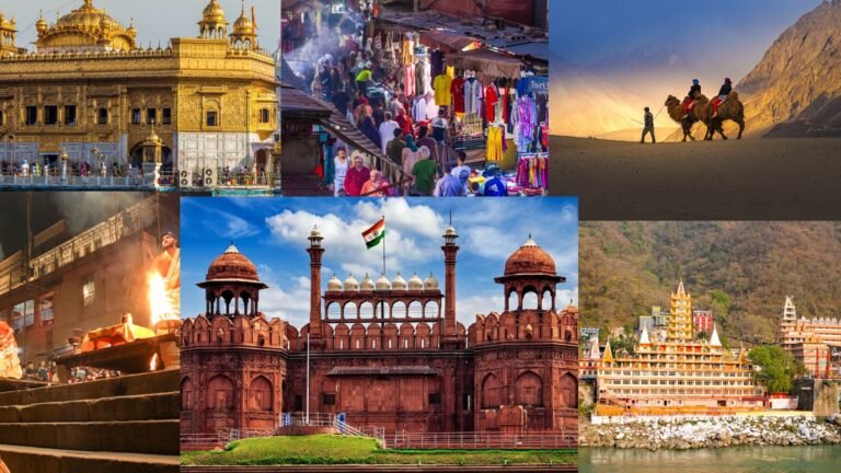 family holidays to india