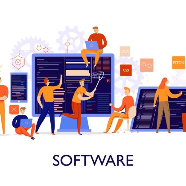 software development