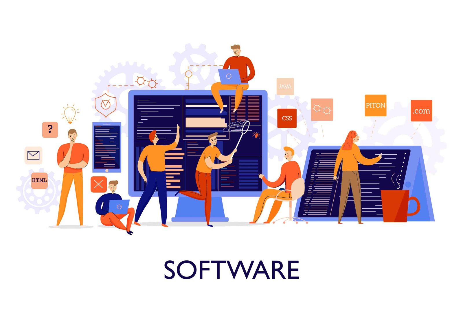 software development