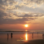 Kochi, Munnar, Thekkady, and Alleppey Tour Packages