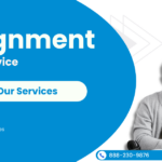 Assignment Writing Service (3)