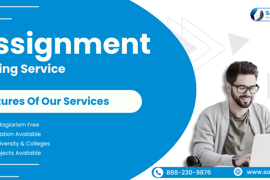 Assignment Writing Service (3)