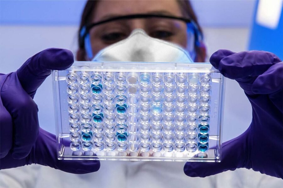Biochemical Assay