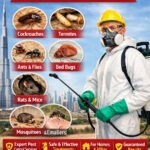 Pest Control Dubai