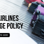 how many baggage are allowed in copa airlines