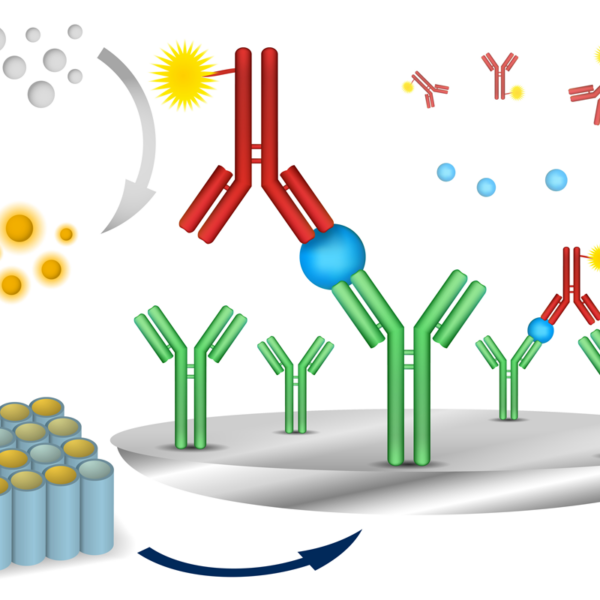 ELISA Assay Method