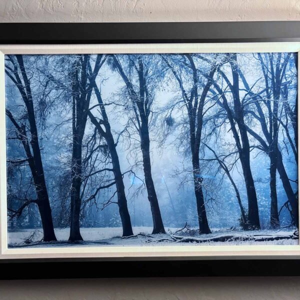 Fine Art Picture Framing
