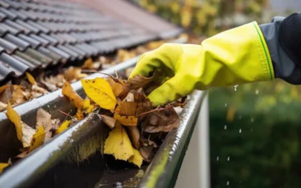 Gutter Cleaning in Bellarine