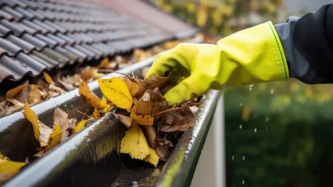 Gutter Cleaning in Bellarine
