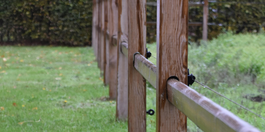 Best Wood Deck Builders for Your Home