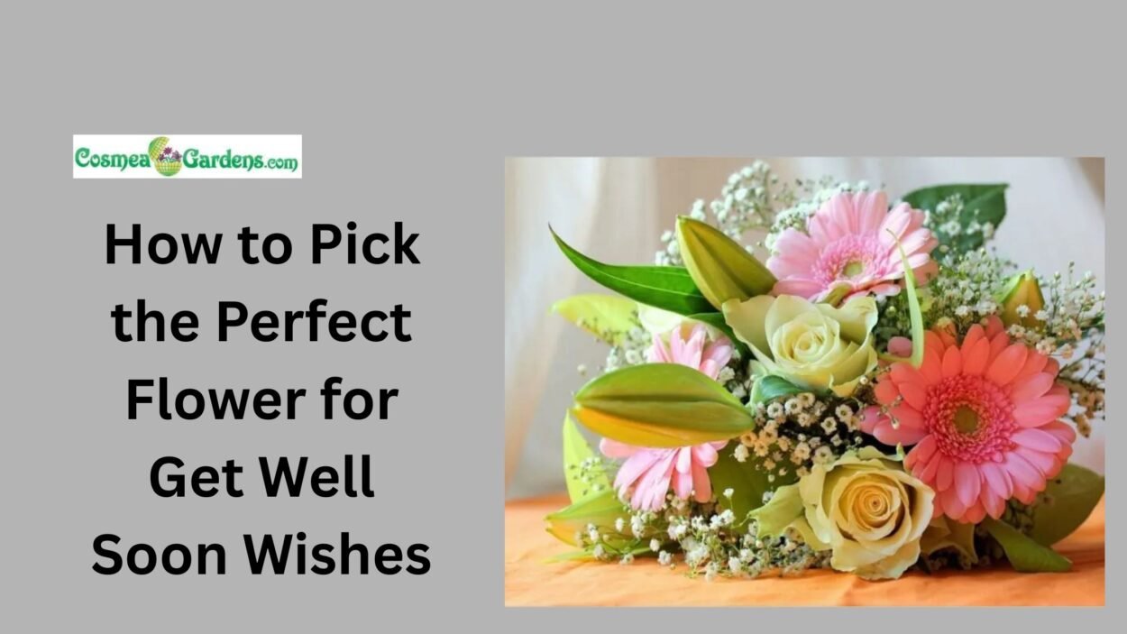 flower for get well soon