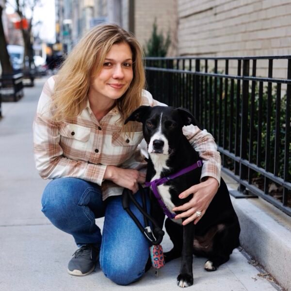 Dog Training Methods