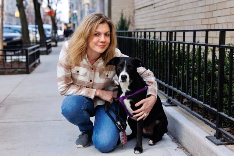 Dog Training Methods