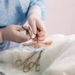 Orthopedic Surgery for Pets