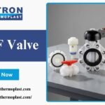 PVDF valve