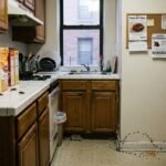 The Hidden Dangers of Ignoring Pest Problems in New York Homes