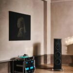 display unit in living room