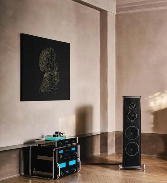 display unit in living room