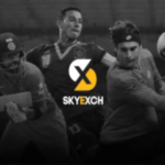 Skyexchange-banner