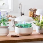 Smart Indoor Gardens