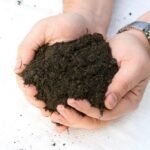 Soil Suppliers