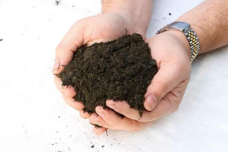 Soil Suppliers
