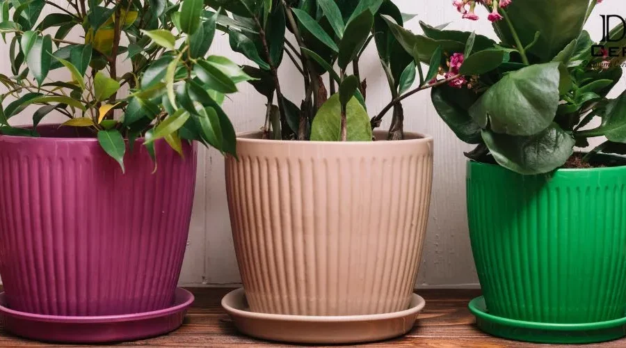 Terracotta Planters