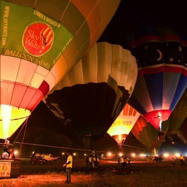 SkyWaltz Balloon Safari For Couples Experience