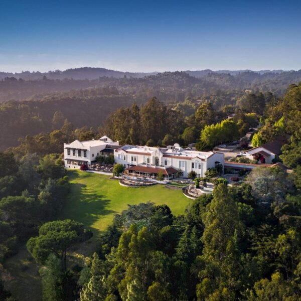 pet-friendly hotel Santa Cruz