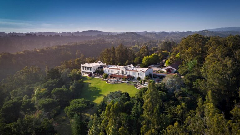 pet-friendly hotel Santa Cruz