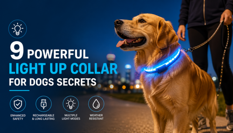 Golden retriever wearing a glowing LED light up collar during a nighttime walk, improving visibility and safety in low light conditions