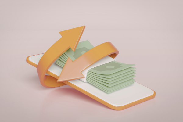 domestic money transfer