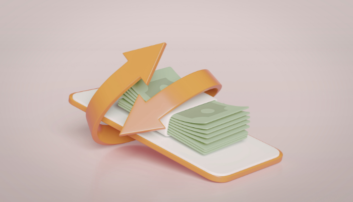 domestic money transfer