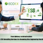 ESG Consulting Services