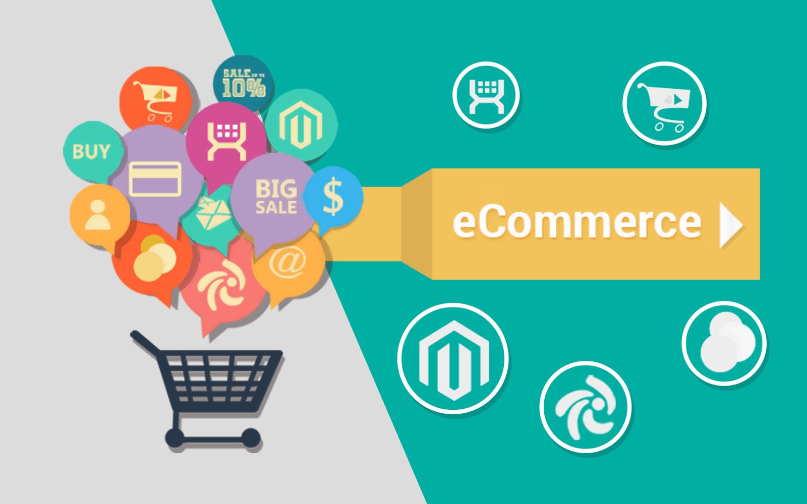 Rholab eCommerce Distributor - Your Dedicated Partner for Online Product Distribution in Pakistan