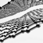 graphene layers