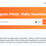 Instagram Video Download online