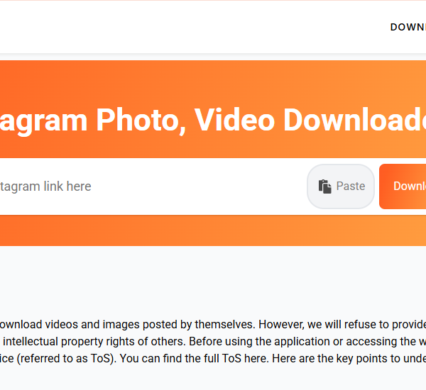 Instagram Video Download online