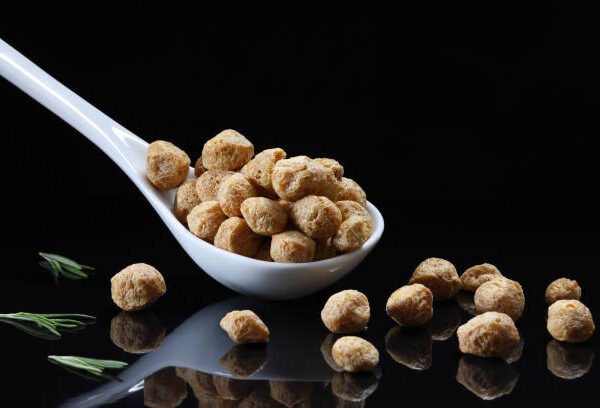 soya chunks manufacturers in india