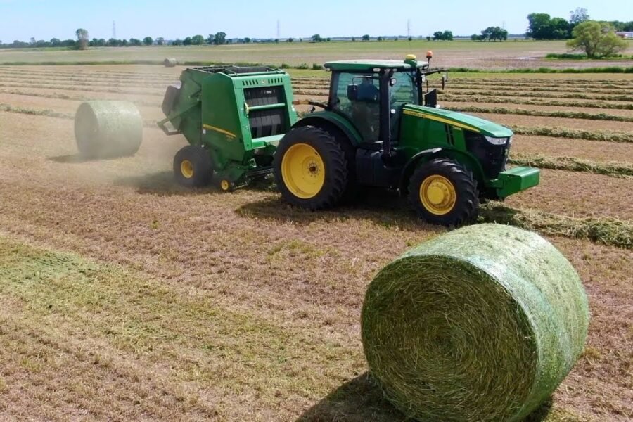 Hay bales for sale