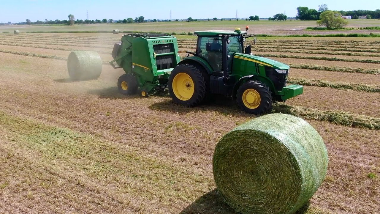 Hay bales for sale