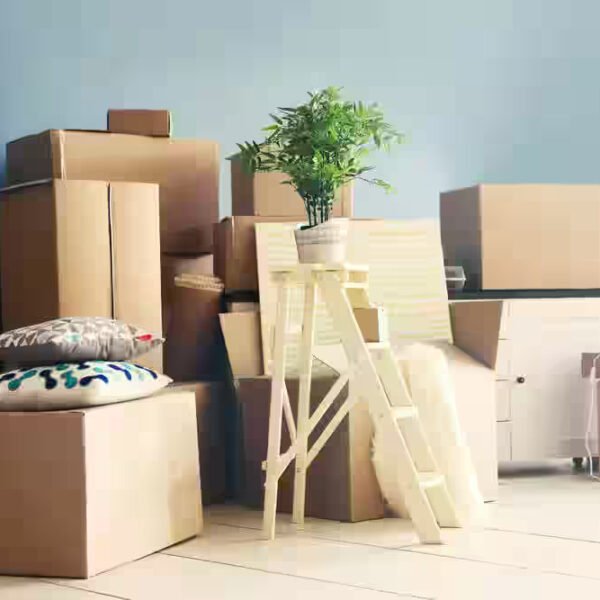 Packers and Movers in Chandigarh