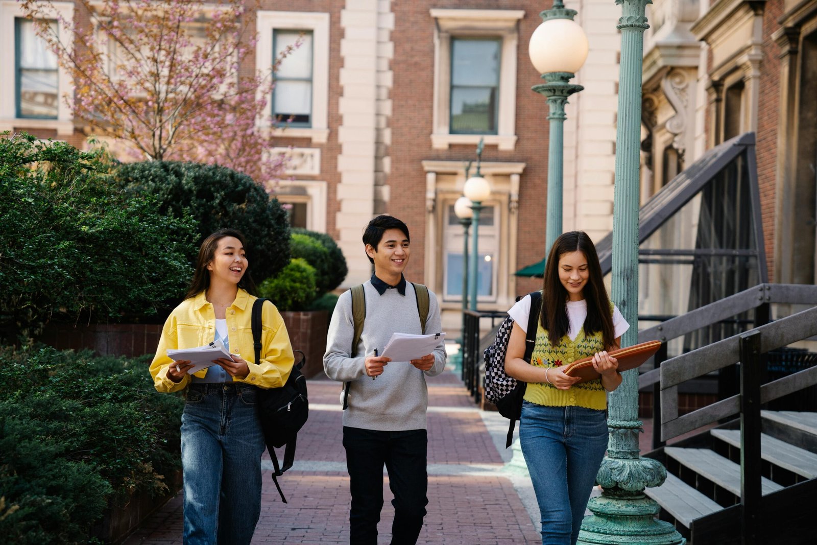 professional cmi assignment help