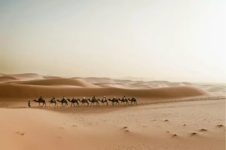 tour-to-morocco